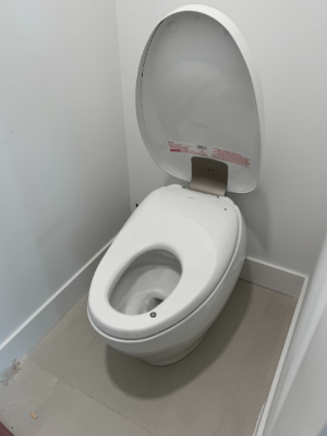 Toilet Installation in Greater Tampa Bay Area